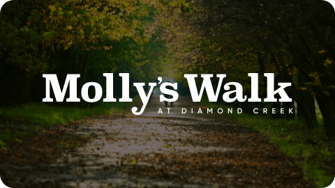 Mollys Walk